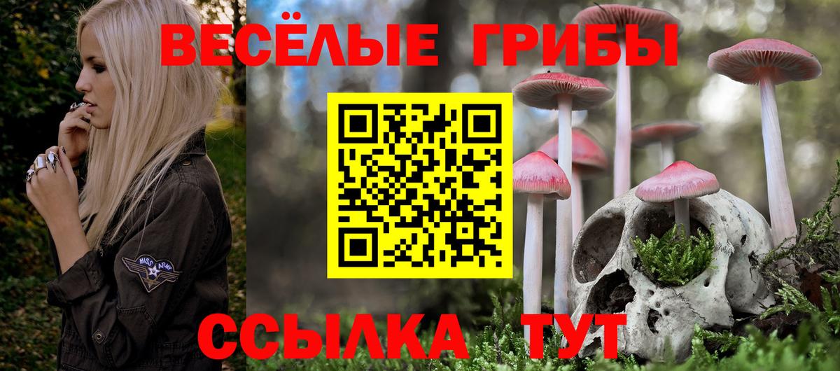 Псилоцибиновые грибы GOLDEN TEACHER Кизляр