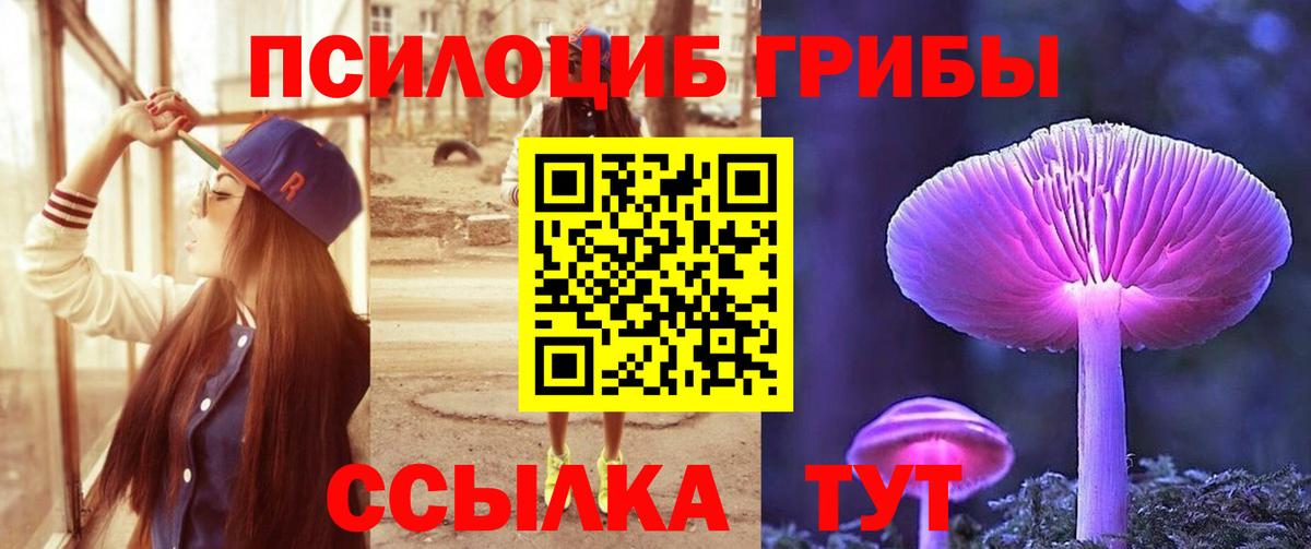 Псилоцибиновые грибы прущие грибы  Вход с VPN  Кизляр  Псилоцибиновые грибы Magic Shrooms 